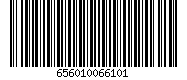 656010066101