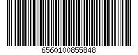 6560100855848