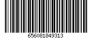 656081849313