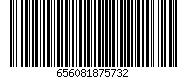 656081875732