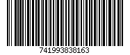 741993838163