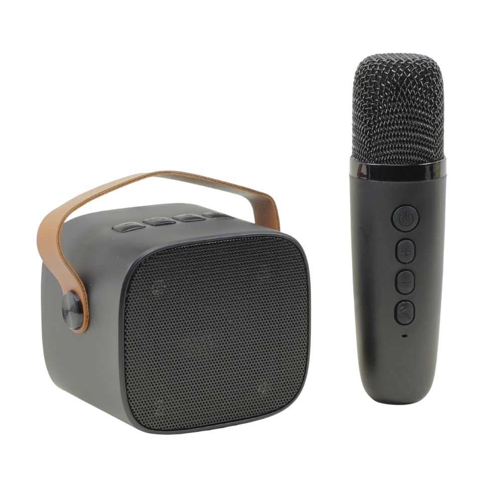 Portable Karaoke Bluetooth Speaker & Mic: Loud Sound for Music & Song, Universal Device (Black)